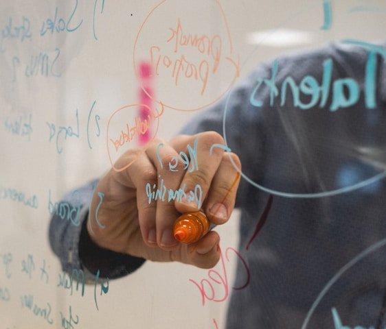 person holding orange flower petals